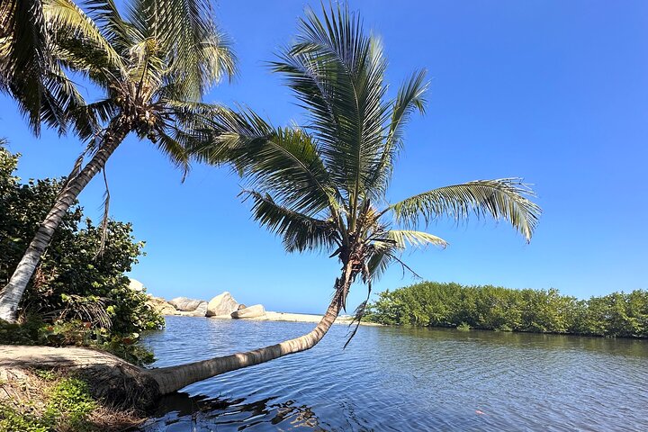Privat Tayrona Hike till Cabo San Juan : Tvåspråkig Guide + Transport