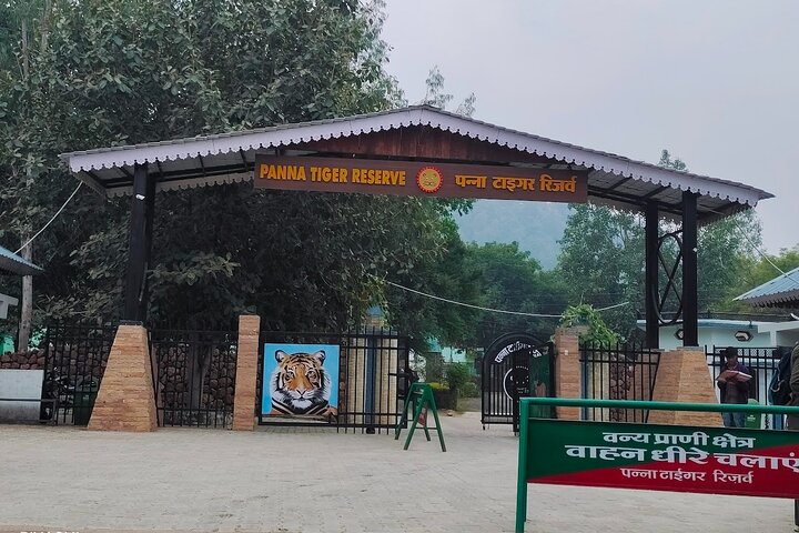 Safari in jeep al Parco Nazionale Panna e alla Riserva della Tigre da Khajuraho