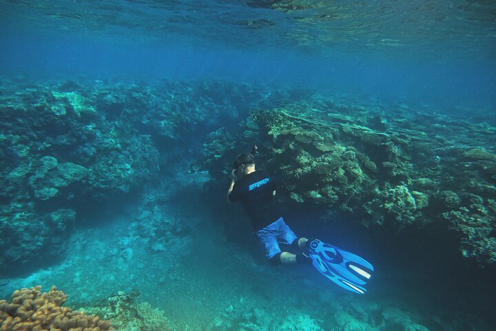 North Okinawa : Privékajak & snorkelavontuur