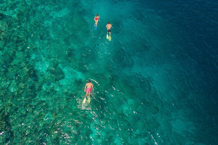 Snorkling i Menjangan Island med hämtning och lunch
