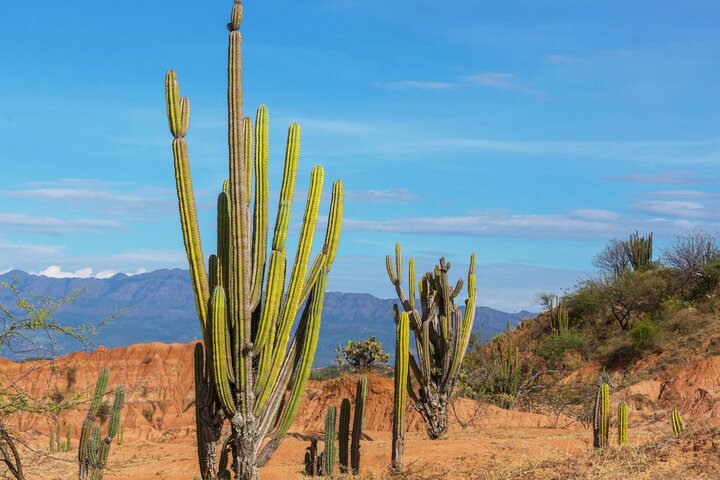 Tour di 3 giorni nel deserto di Tatacoa e Villavieja