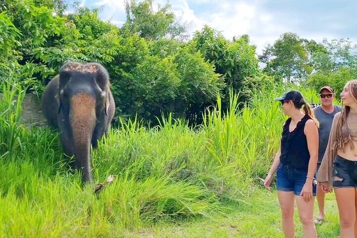 Tour di 6 ore sulla cura degli elefanti e nella giungla in fuoristrada a Koh Samui