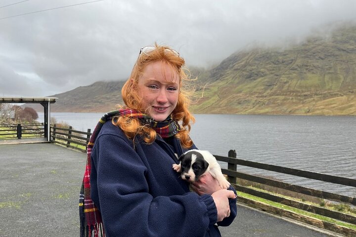 Kleine Gruppe Kylemore Abbey, Sheepdog Demo & Connemara Tour