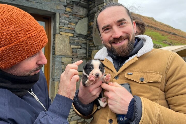 Kleine Gruppe Kylemore Abbey, Sheepdog Demo & Connemara Tour