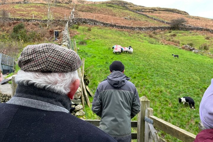 Kleine Gruppe Kylemore Abbey, Sheepdog Demo & Connemara Tour