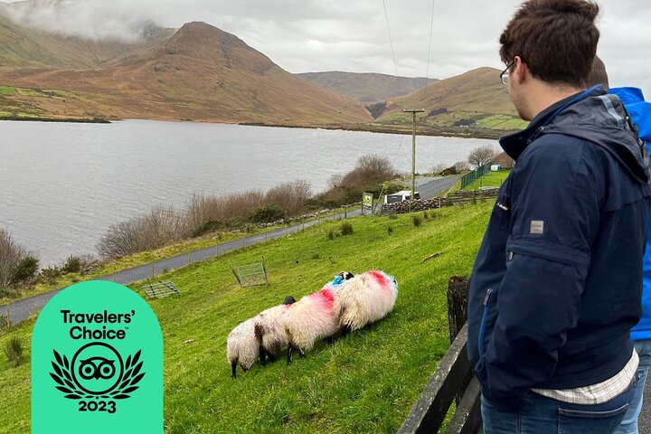 Kleine Gruppe Kylemore Abbey, Sheepdog Demo & Connemara Tour