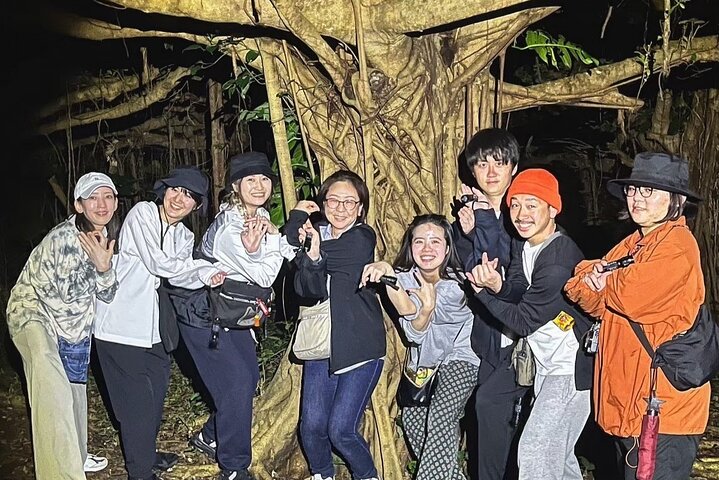 Okinawa Miyako Sternennacht Dschungel- und Wildtiertour mit Abholung