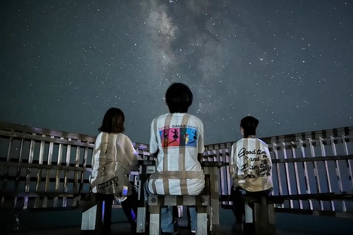 Okinawa Miyako Sternennacht Dschungel- und Wildtiertour mit Abholung