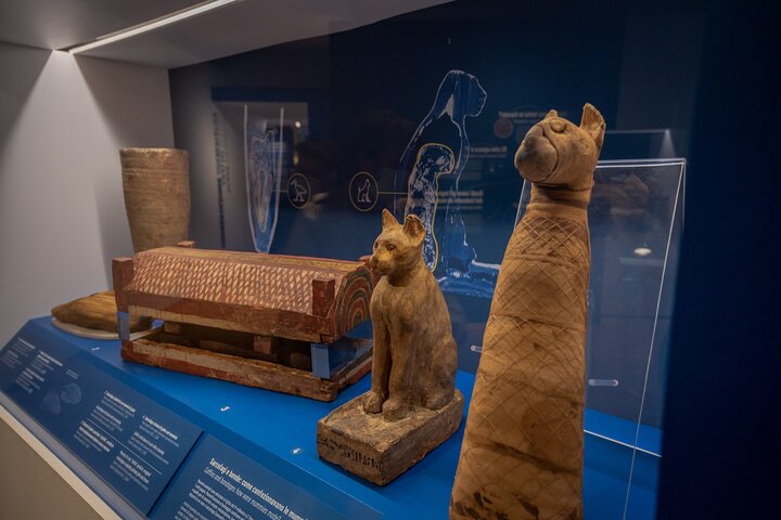 Turin: Egyptiska museet Monolingual Skip-the-line guidad mysterietur, liten grupp
