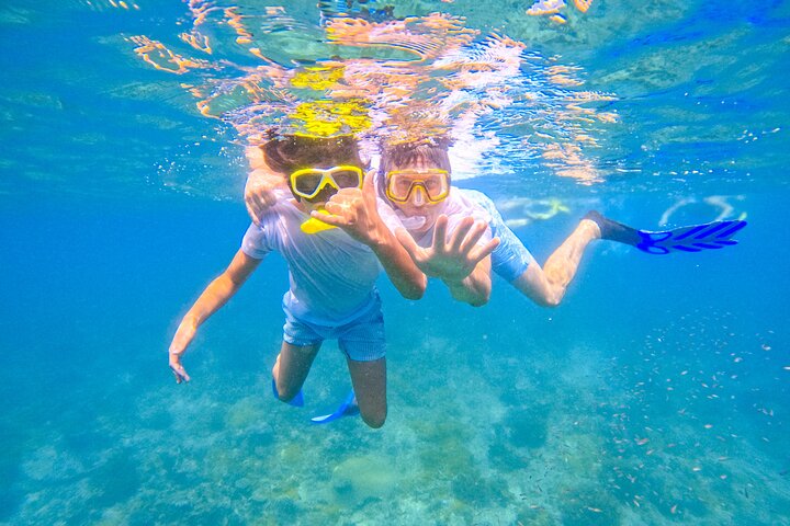 Speciale Wasini Island-tour van een hele dag met snorkelen en lunch