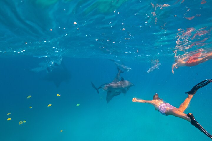 Speciale Wasini Island-tour van een hele dag met snorkelen en lunch