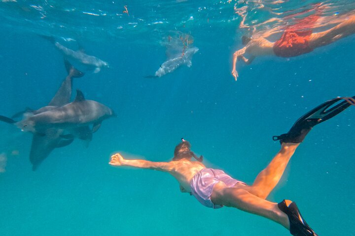 Speciale Wasini Island-tour van een hele dag met snorkelen en lunch