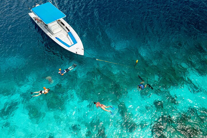 Klein Bonaire Marine Park Snorkeling Excursion small groups