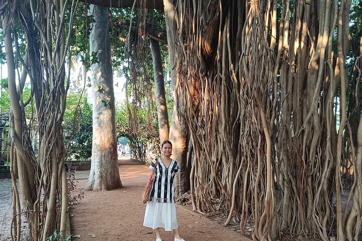 Privé rondleiding Santiniketan dagtocht vanuit Kolkata (Calcutta)