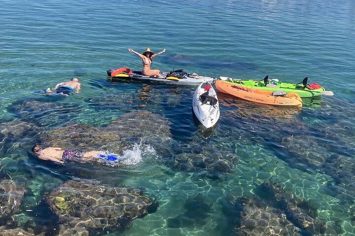 Kajak med sjölejon i en lugn, vacker, Redondo Beach Harbor