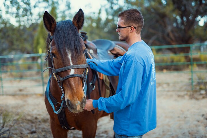 小グループでのイースト ザイオン ホワイト マウンテン乗馬