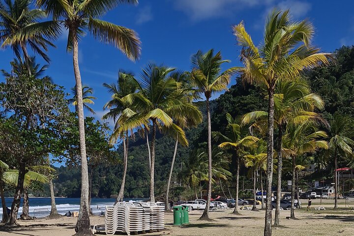 Hidden Gem: Avocat Waterfall Hike & Beach Stop in Trinidad