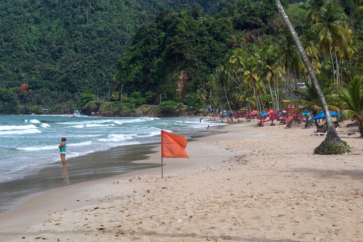 Hidden Gem: Avocat Waterfall Hike & Beach Stop in Trinidad