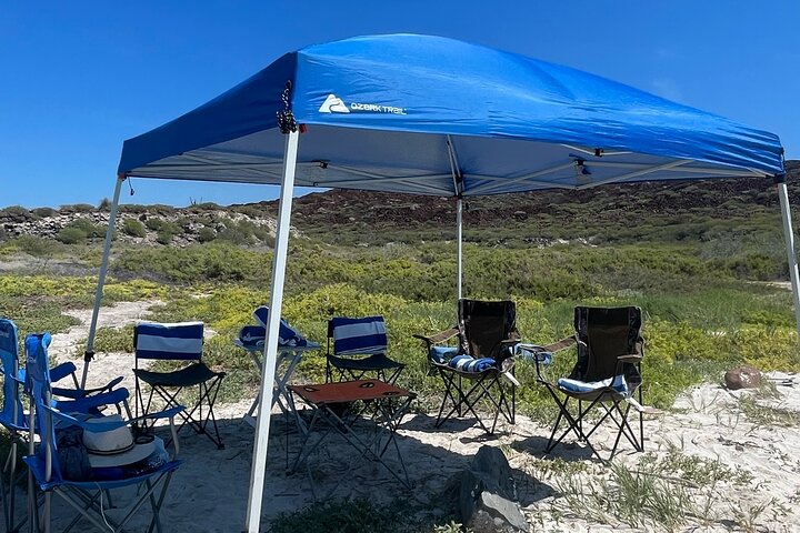 Tur till Coronado Island med snorklingaktivitet och picknick