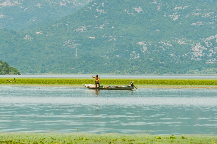 Skadar Lake National Park Guidad båttur med träbåt