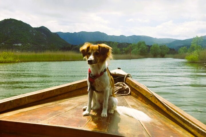 Skadar Lake National Park Guidad båttur med träbåt