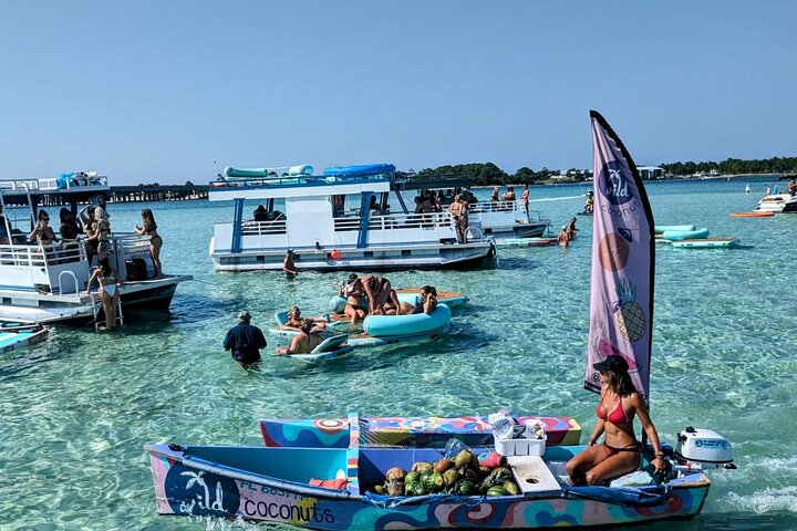 Excursão de 3 horas à Ilha do Crab da Destin Não Privada com Flotadores