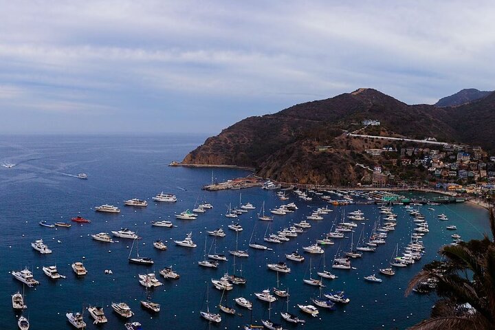 Catalina Island Fähre Avalon nach Newport Beach