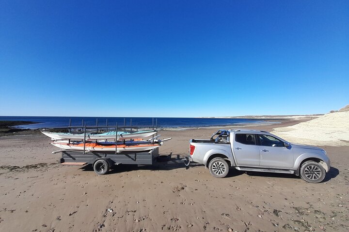 Esperienza di canoa in kayak con i leoni marini a Puerto Madryn