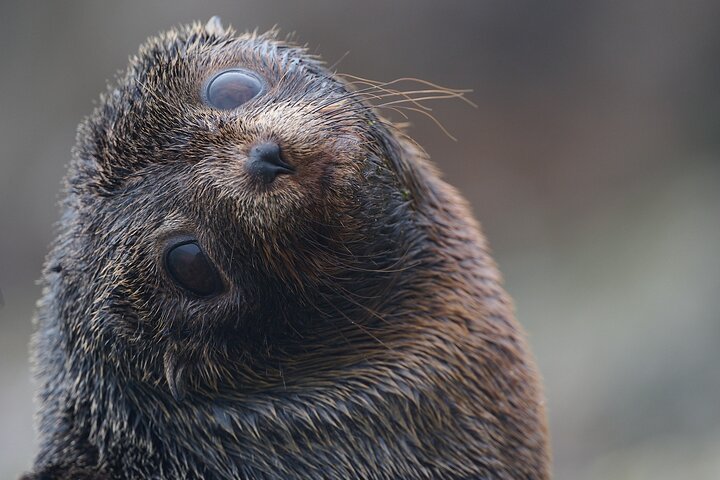 Clearwater Wildlife Tours (små grupper 10max) Oslo