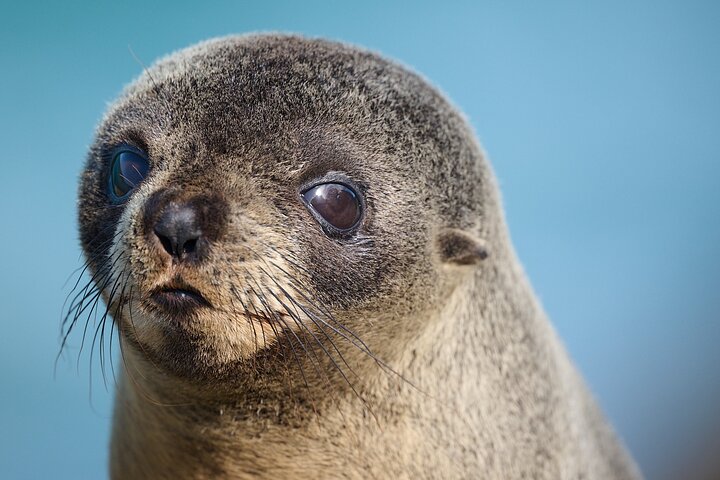Clearwater Wildlife Tours (små grupper 10max) Oslo