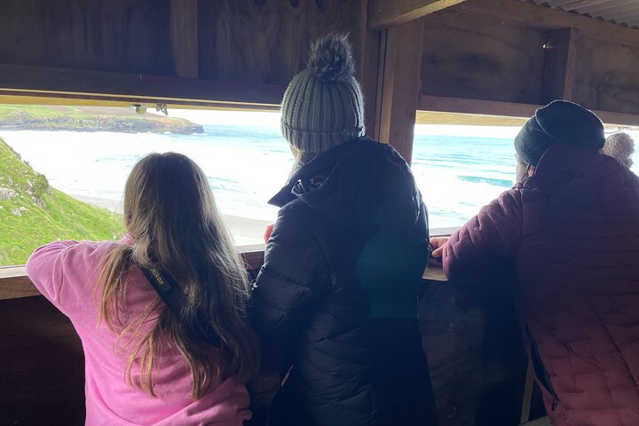 Clearwater Wildlife Tours (små grupper 10max) Oslo