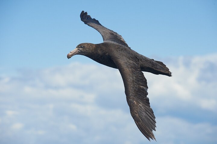 Clearwater Wildlife Tours (små grupper 10max) Oslo
