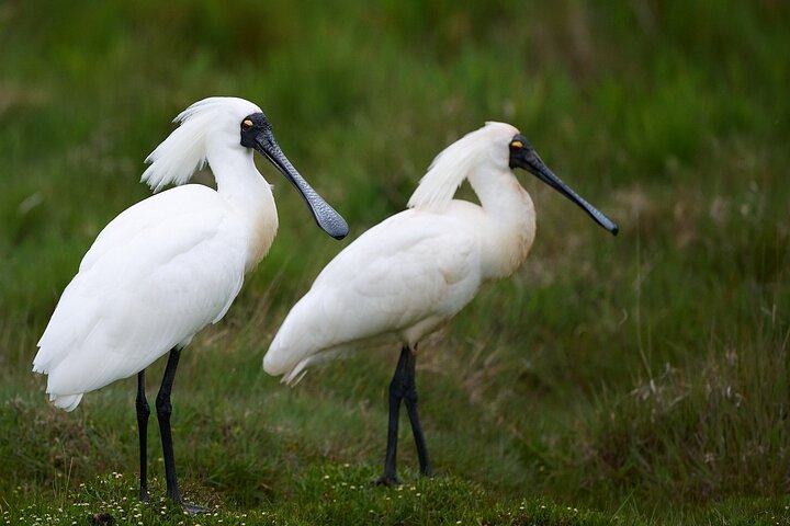 Clearwater Wildlife Tours (små grupper 10max) Oslo
