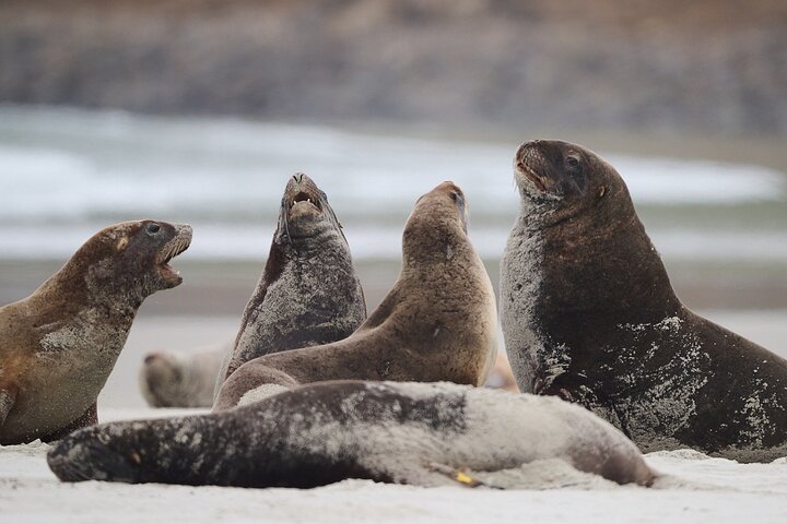 Clearwater Wildlife Tours (små grupper 10max) Oslo
