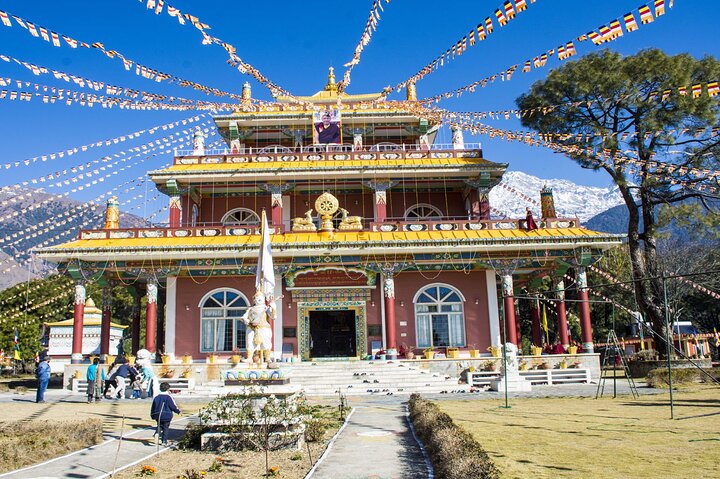 Guidet tur til Palampur-klostrene, Temple & Tea Gardens