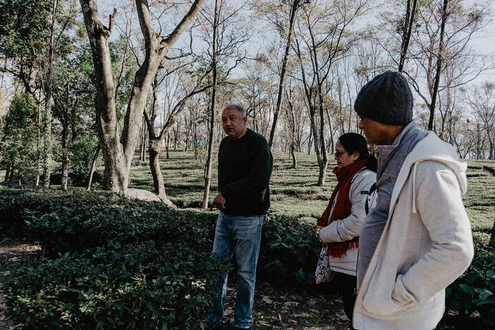 Guidet tur til Palampur-klostrene, Temple & Tea Gardens