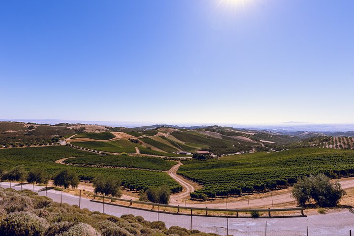 3 - Winery Paso Robles Tour med picnic frokost fra Paso Robles
