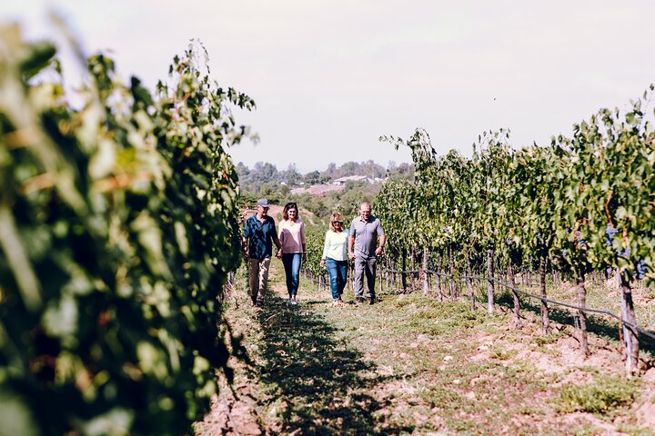 3 - Winery Paso Robles Tour med picnic frokost fra Paso Robles