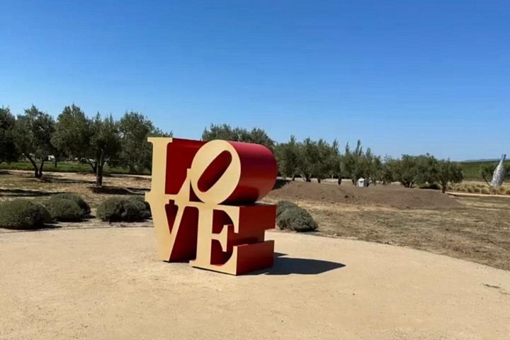 Servizi di trasporto per Napa . Tour enogastronomici di Sonoma