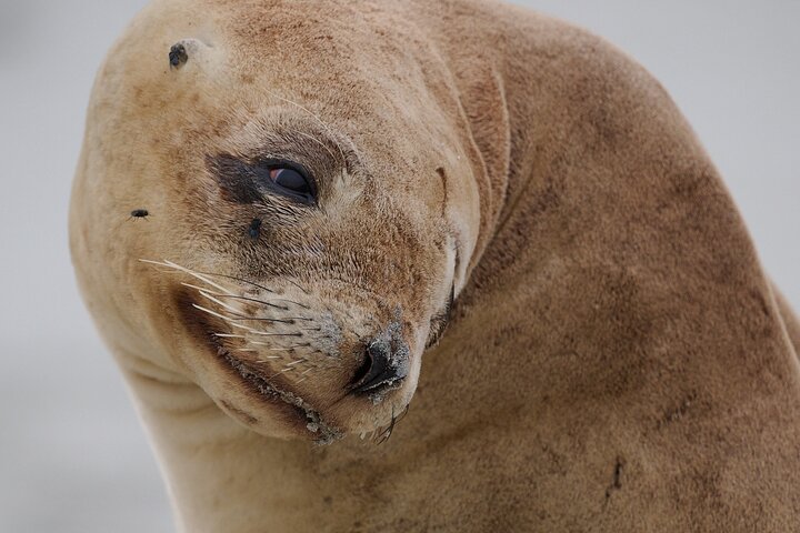 Clearwater Wildlife Tours (små grupper 10max) Oslo