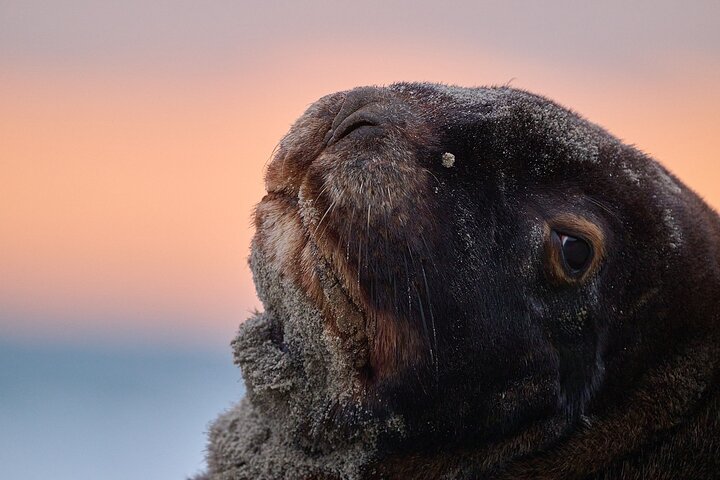 Clearwater Wildlife Tours (små grupper 10max) Oslo