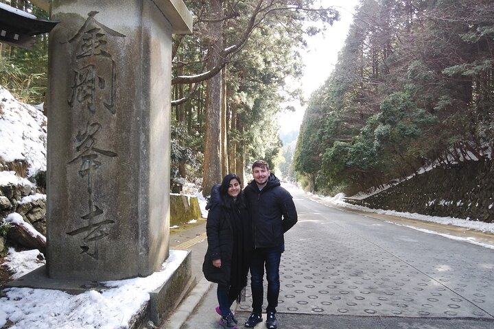 Excursión de medio día a los sitios sagrados del Monte Koya con guía autorizado