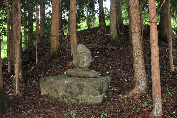 5 timmars pilgrimstur i bilderna från Mt Fuji på engelska