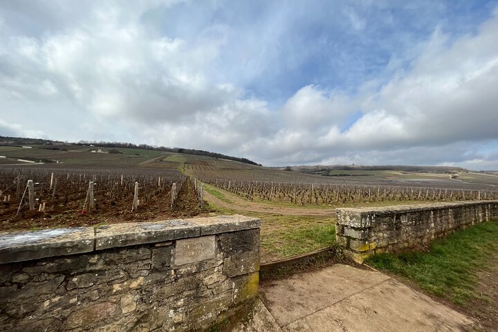 Tour de um dia da Rota do Grande Crus da Bourgogne - 14 degustações de vinhos em domínios
