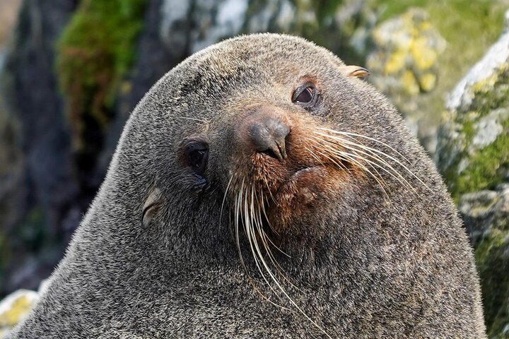 Clearwater Wildlife Tours (små grupper 10max) Oslo