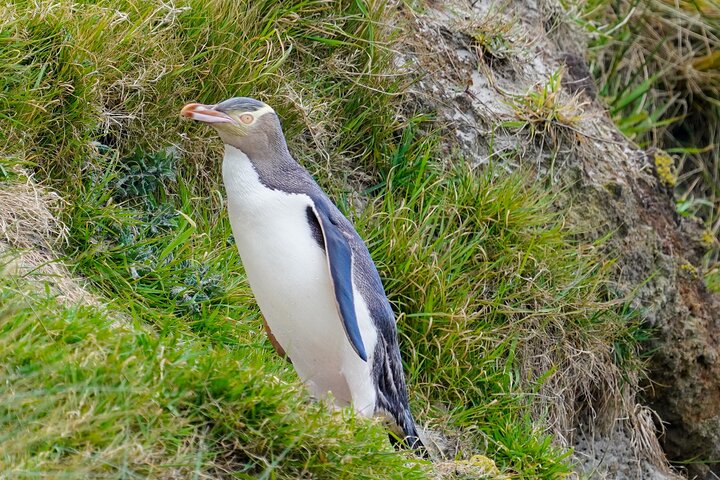 Clearwater Wildlife Tours (små grupper 10max) Oslo