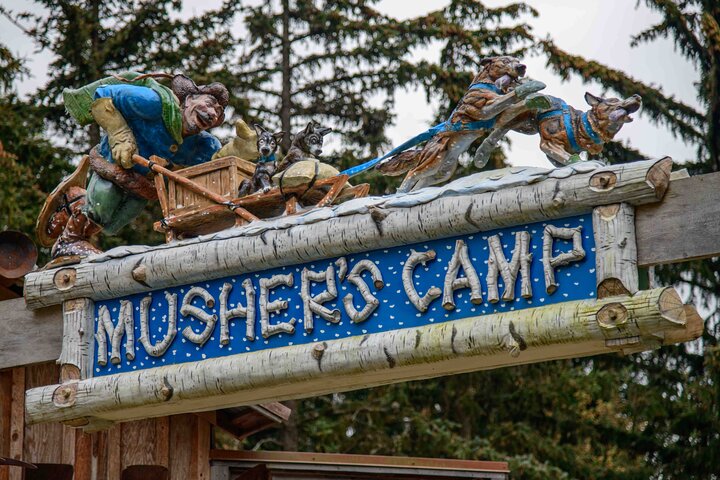 Aventura de perros en trineo y campamento de Musher en Skagway