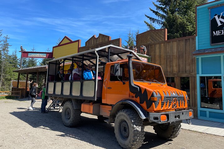 Aventura de perros en trineo y campamento de Musher en Skagway