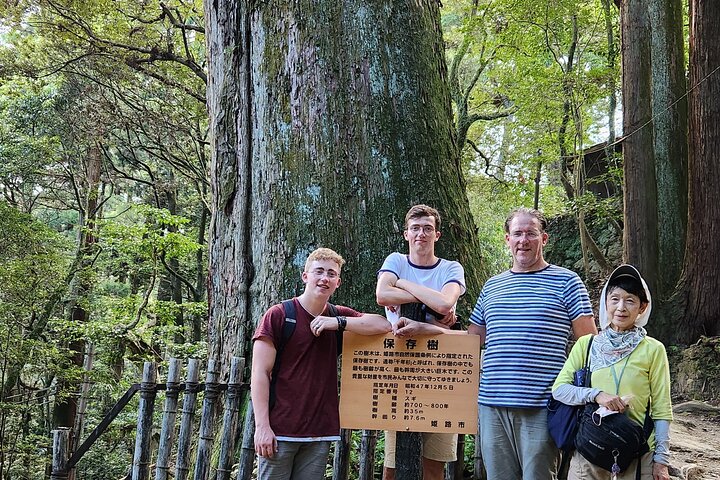Château de Himeji et Koko-en en 1 jour avec Guide licencié