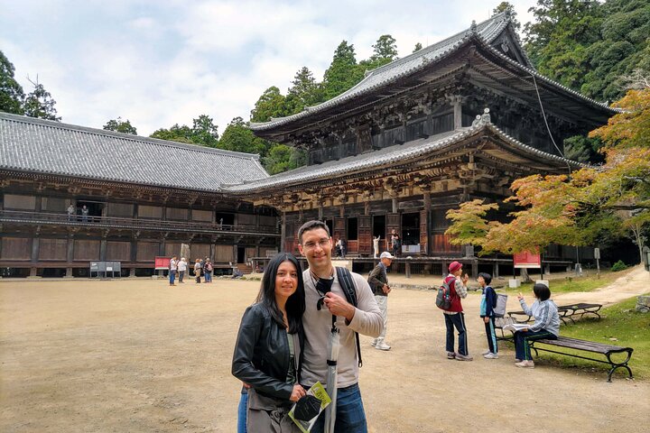 Tour personalizzato di mezza giornata del castello di Himeji con Guida autorizzata